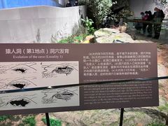 -北京周口店北京人遗址博物馆