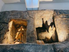 -陕西自然博物馆