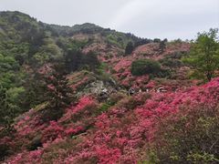 -木兰云雾山