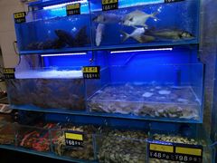 水产区-冯姐生蚝(长隆横琴店)