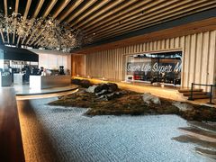 -Seesaw Coffee(朝阳大悦城店)