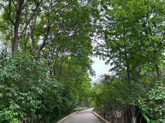 -大兴滨河森林公园