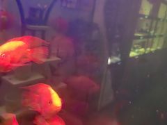 -宫七SPA·高端Massage(浦东大道店)
