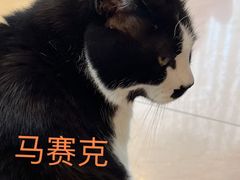 -老虎滩船说·大连海鲜(老虎滩店)