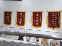 -爱侣宠医·鹦鹉专科·小型哺乳类·异宠专科(灵石路店)