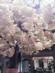 -简影造型·自选烫染接发salon