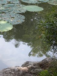 -福州儿童公园