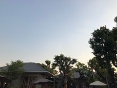 -Chom Cafe and Restaurant