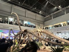 -自贡恐龙博物馆