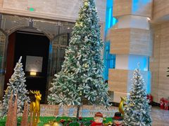 -三迪希尔顿酒店·星空酒廊