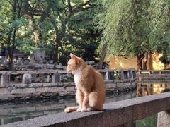 -西园戒幢律寺