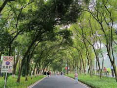 -广州市白云山风景名胜区