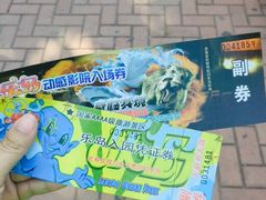 iphone_upload_pic-秦皇岛乐岛海洋王国