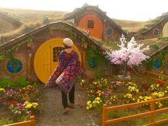 -武汉紫薇都市田园