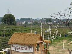 -龙坞茶村