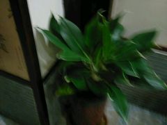 -万福源茶食楼(光明路店)