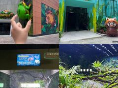 -海合安成都极地海洋公园