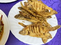 -林之六八·6886大连老菜馆