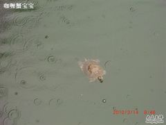 -普陀山风景名胜区-法雨禅寺