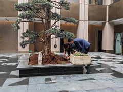 -外滩·云南人家(昆明旗舰店)