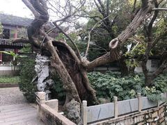 -汇龙潭