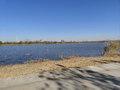 -水西公园