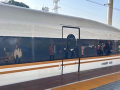 -岳阳东站
