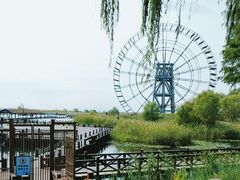 -苏州太湖湖滨国家湿地公园