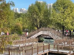 -五缘湾湿地公园