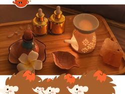 点击看大图 -芳香乐府SPA·五行芳疗