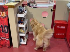 -和它·交个朋友·狗咖猫咖(爱琴海店)