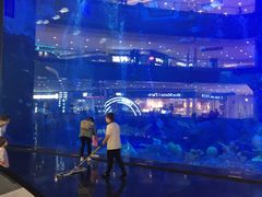 -成都浩海立方海洋公园