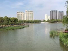 -南翔镇银翔湖公园