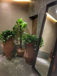 大堂-禾颜社·精致美容