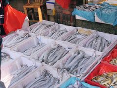 -芦潮港集贸市场