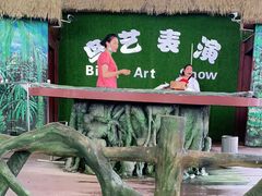 -西双版纳原始森林公园