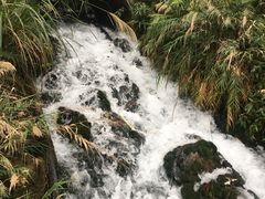 -太鲁阁公园