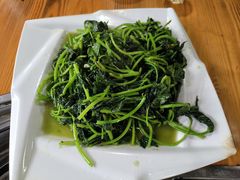 -鸽皇农庄(长湴店)