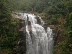 -海南热带雨林国家公园吊罗山景区