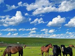 -塞罕坝国家级自然保护区