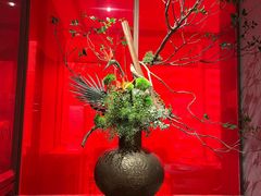 -星·South Beauty·俏江南(国贸店)