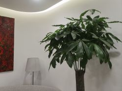 -丰联丽格医疗美容·联合丽格眼整形中心