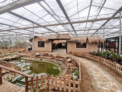 -上海都市菜园