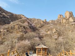 -大岭沟猕猴桃谷风景区