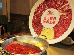 -手选潮汕鲜牛肉火锅(二七广场店)