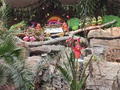 -南宫五洲植物乐园