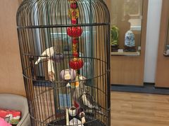 -阜昌典当行(阜成门店)