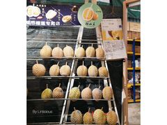 -都念榴莲·城市榴莲