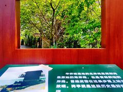 -华侨城湿地公园