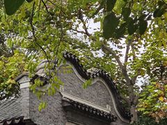 -水绘园